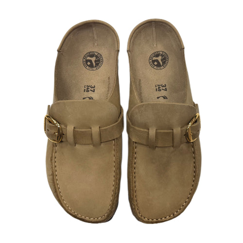 Pair of brown leather sandals with gold buckles on a white background