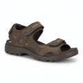 Men's Ecco Offroad Sandal-Dark Clay