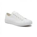 Women's Taos Plim Soul Canvas Sneaker